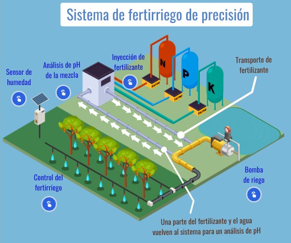 Fert Irrigación (3-2-5)
