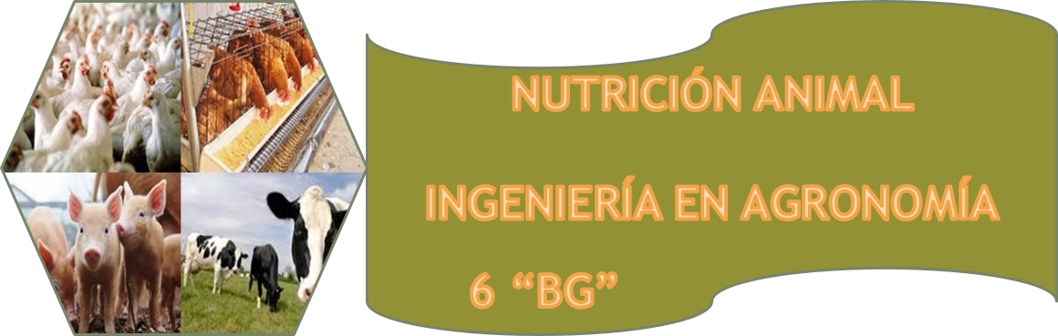 AGD - 1017 NUTRICION ANIMAL  "6  BG" ESCOLARIZADO 